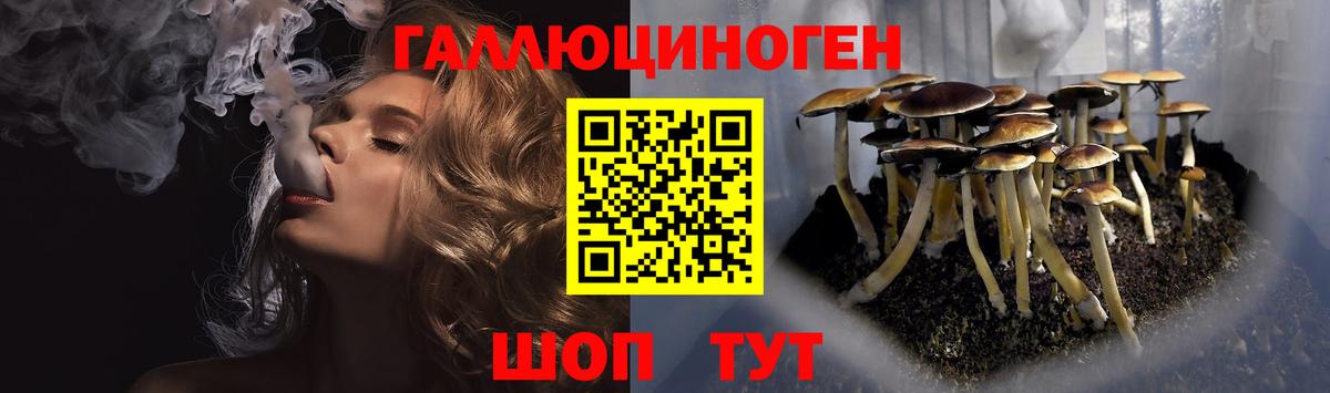 Псилоцибиновые грибы мухоморы  Вход с VPN  Людиново  Галлюциногенные грибы мухоморы 